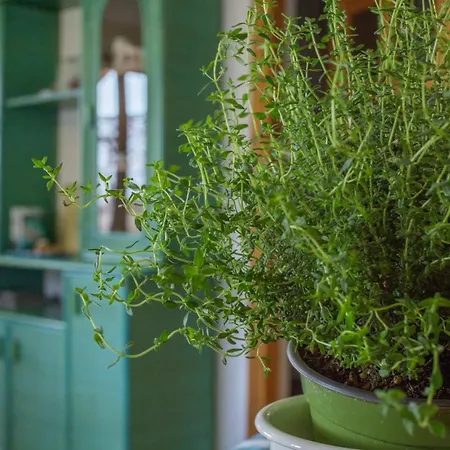 Apartment A 10 Minuti A Piedi Dal Mare Santa Maria Navarrese